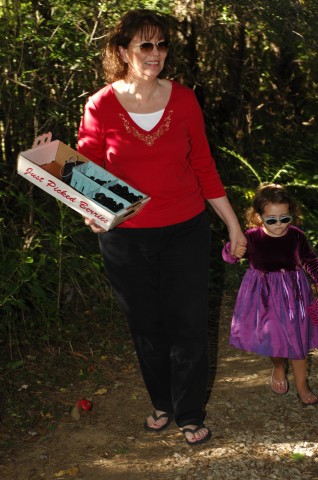 the walk